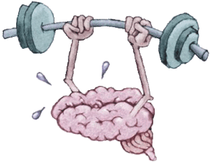 brainlift